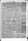 Clare Advertiser and Kilrush Gazette Saturday 11 January 1873 Page 7