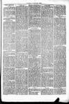 Clare Advertiser and Kilrush Gazette Saturday 25 January 1873 Page 3