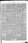 Clare Advertiser and Kilrush Gazette Saturday 25 January 1873 Page 5