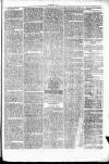 Clare Advertiser and Kilrush Gazette Saturday 25 January 1873 Page 7