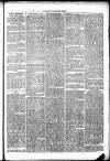 Clare Advertiser and Kilrush Gazette Saturday 01 February 1873 Page 3