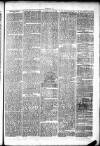 Clare Advertiser and Kilrush Gazette Saturday 01 February 1873 Page 8