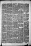 Clare Advertiser and Kilrush Gazette Saturday 01 March 1873 Page 7