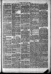 Clare Advertiser and Kilrush Gazette Saturday 08 March 1873 Page 3