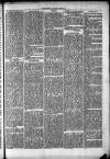 Clare Advertiser and Kilrush Gazette Saturday 08 March 1873 Page 5