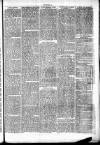 Clare Advertiser and Kilrush Gazette Saturday 08 March 1873 Page 7