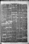 Clare Advertiser and Kilrush Gazette Saturday 15 March 1873 Page 3