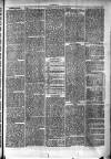 Clare Advertiser and Kilrush Gazette Saturday 29 March 1873 Page 7