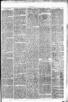 Clare Advertiser and Kilrush Gazette Saturday 05 April 1873 Page 7