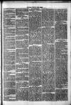 Clare Advertiser and Kilrush Gazette Saturday 21 June 1873 Page 3