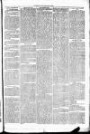 Clare Advertiser and Kilrush Gazette Saturday 11 October 1873 Page 3