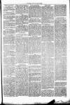 Clare Advertiser and Kilrush Gazette Saturday 22 November 1873 Page 3