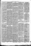 Clare Advertiser and Kilrush Gazette Saturday 22 November 1873 Page 5