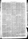 Clare Advertiser and Kilrush Gazette Saturday 03 January 1874 Page 7