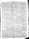 Clare Advertiser and Kilrush Gazette Saturday 21 March 1874 Page 3