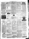 Clare Advertiser and Kilrush Gazette Saturday 21 March 1874 Page 5