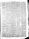Clare Advertiser and Kilrush Gazette Saturday 04 April 1874 Page 3