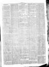 Clare Advertiser and Kilrush Gazette Saturday 04 April 1874 Page 7