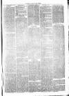 Clare Advertiser and Kilrush Gazette Saturday 05 September 1874 Page 3
