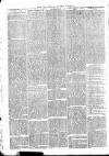 Clare Advertiser and Kilrush Gazette Saturday 30 January 1875 Page 2
