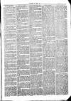 Clare Advertiser and Kilrush Gazette Saturday 30 January 1875 Page 3