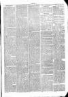 Clare Advertiser and Kilrush Gazette Saturday 30 January 1875 Page 7