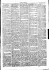 Clare Advertiser and Kilrush Gazette Saturday 01 May 1875 Page 3
