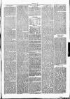 Clare Advertiser and Kilrush Gazette Saturday 01 May 1875 Page 7