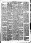 Clare Advertiser and Kilrush Gazette Saturday 24 July 1875 Page 3