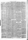 Clare Advertiser and Kilrush Gazette Saturday 24 July 1875 Page 6