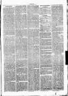 Clare Advertiser and Kilrush Gazette Saturday 24 July 1875 Page 7
