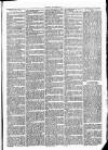 Clare Advertiser and Kilrush Gazette Saturday 04 September 1875 Page 3