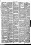 Clare Advertiser and Kilrush Gazette Saturday 11 September 1875 Page 3
