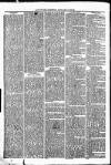 Clare Advertiser and Kilrush Gazette Saturday 11 September 1875 Page 4