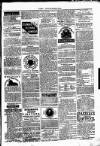 Clare Advertiser and Kilrush Gazette Saturday 11 September 1875 Page 5