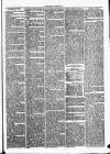 Clare Advertiser and Kilrush Gazette Saturday 25 March 1876 Page 3