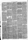 Clare Advertiser and Kilrush Gazette Saturday 25 March 1876 Page 6