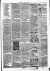 Clare Advertiser and Kilrush Gazette Saturday 25 March 1876 Page 7