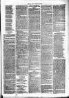 Clare Advertiser and Kilrush Gazette Saturday 08 January 1876 Page 7