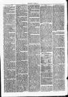 Clare Advertiser and Kilrush Gazette Saturday 15 January 1876 Page 3