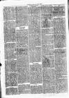 Clare Advertiser and Kilrush Gazette Saturday 15 January 1876 Page 6
