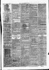 Clare Advertiser and Kilrush Gazette Saturday 15 January 1876 Page 7