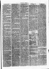 Clare Advertiser and Kilrush Gazette Saturday 22 January 1876 Page 3