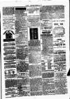 Clare Advertiser and Kilrush Gazette Saturday 22 January 1876 Page 5