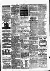 Clare Advertiser and Kilrush Gazette Saturday 29 January 1876 Page 5