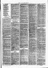 Clare Advertiser and Kilrush Gazette Saturday 29 January 1876 Page 7