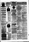 Clare Advertiser and Kilrush Gazette Saturday 05 February 1876 Page 5