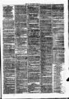 Clare Advertiser and Kilrush Gazette Saturday 05 February 1876 Page 7