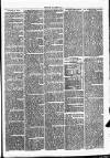 Clare Advertiser and Kilrush Gazette Saturday 12 February 1876 Page 3
