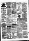 Clare Advertiser and Kilrush Gazette Saturday 12 February 1876 Page 5